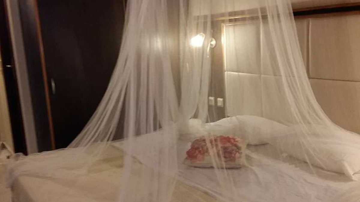 George Beach Studios - NR